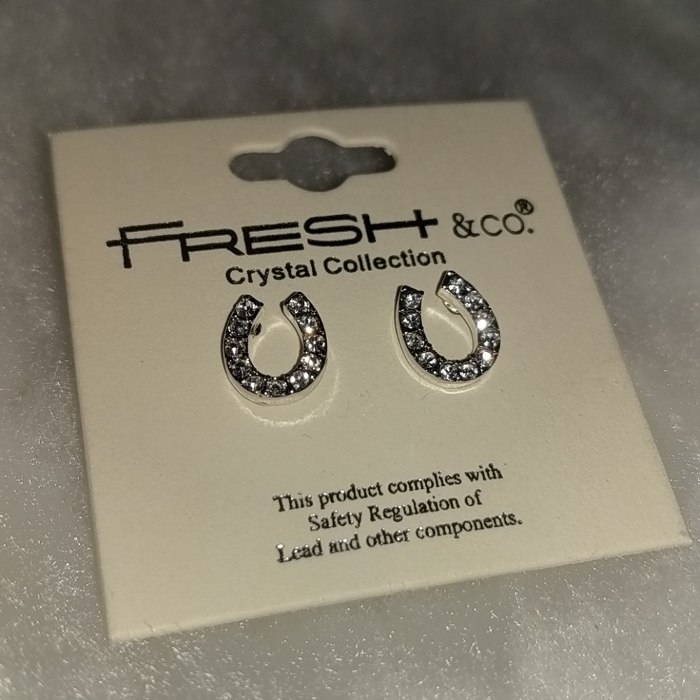 Horseshoe Stud Earrings